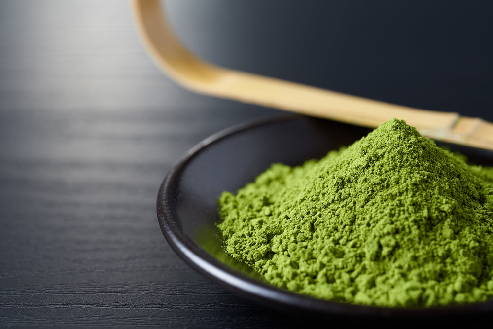 TEAOLOGY® Barista Organic Ceremonial Grade Matcha 500g bag - OUT OF STOCK - IBEV Concepts