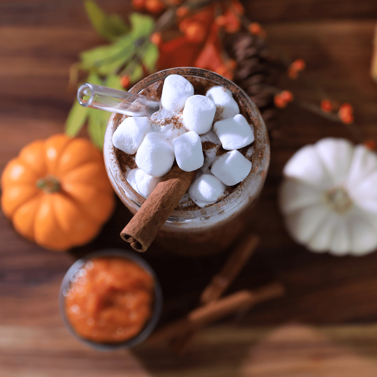 Pumpkin Spiced Hot Chocolate Recipe - IBEV Concepts
