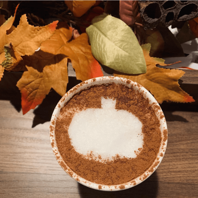 Pumpkin Chai - IBEV Concepts